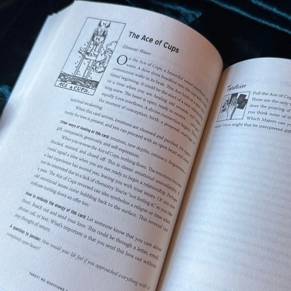 Tarot: No Questions Asked Book Mastering the Art of Intuitive Read Theresa Reed - Picture 9 of 14